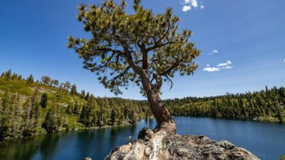CIO Chartbook: Resilience Amid Friction